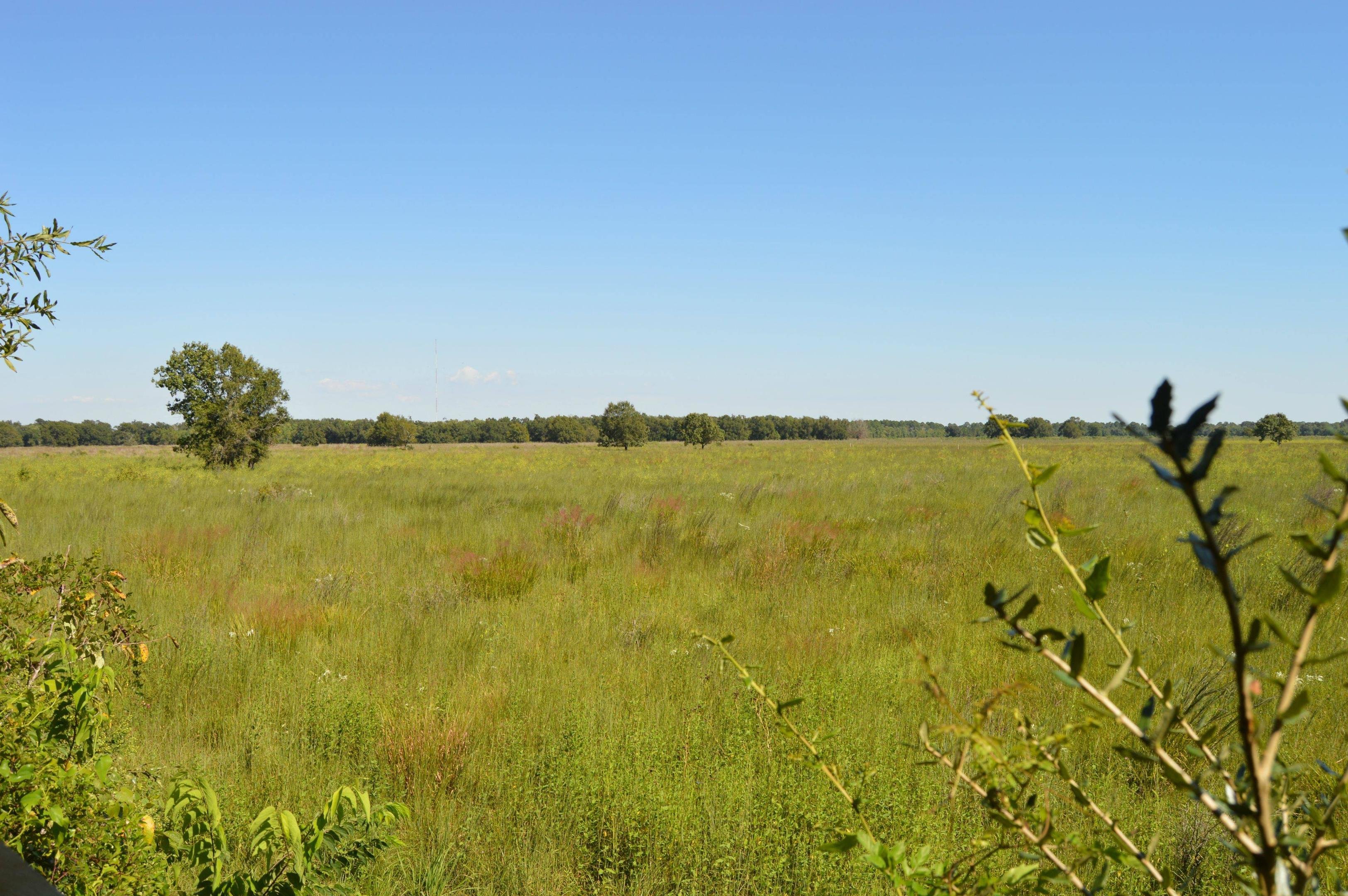 Prairie Wallpaper - HD Wallpaper 