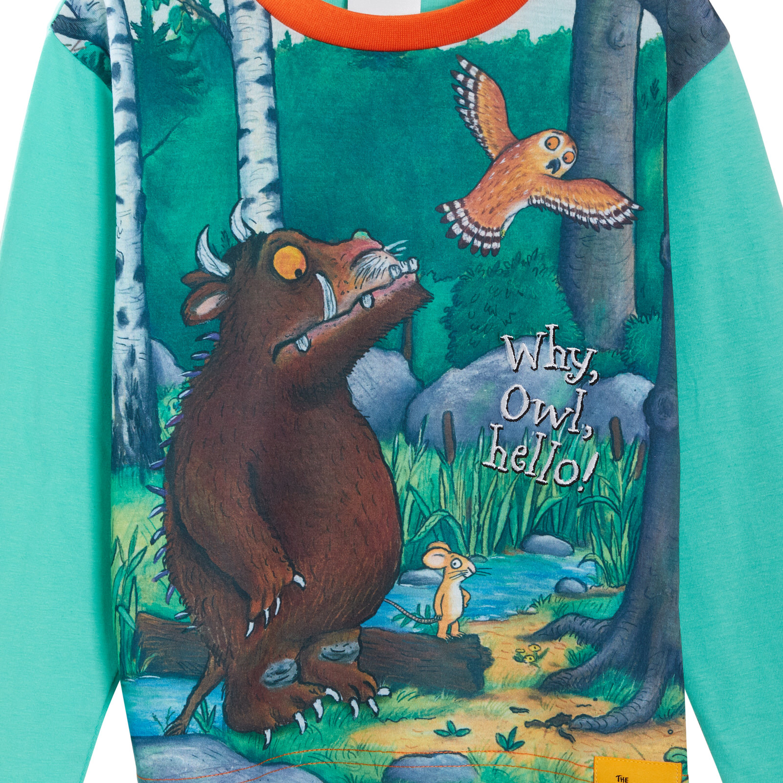 Turquoise Gruffalo Boys Shirt T-shirt - Pajamas - HD Wallpaper 