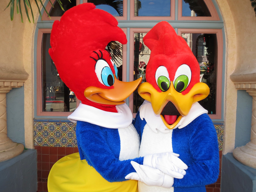 Winnie Woodpecker Hugging Woody Woodpecker - HD Wallpaper 
