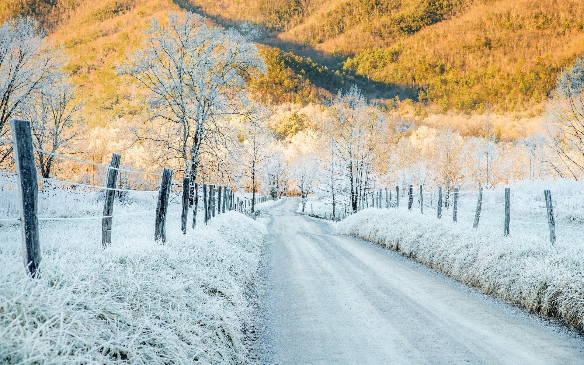 Frosty Autumn - HD Wallpaper 