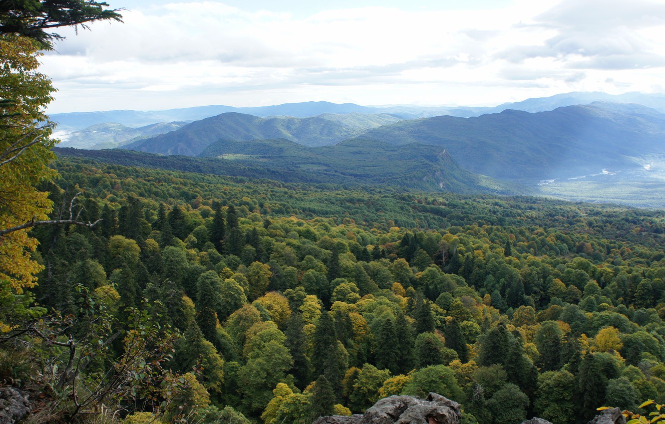 Photo Wallpaper Open, Forest, Forest, Adygea, Lago - Summit - HD Wallpaper 