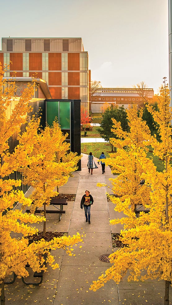 Autumn - HD Wallpaper 