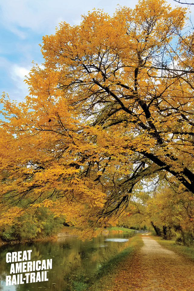 Autumn - HD Wallpaper 