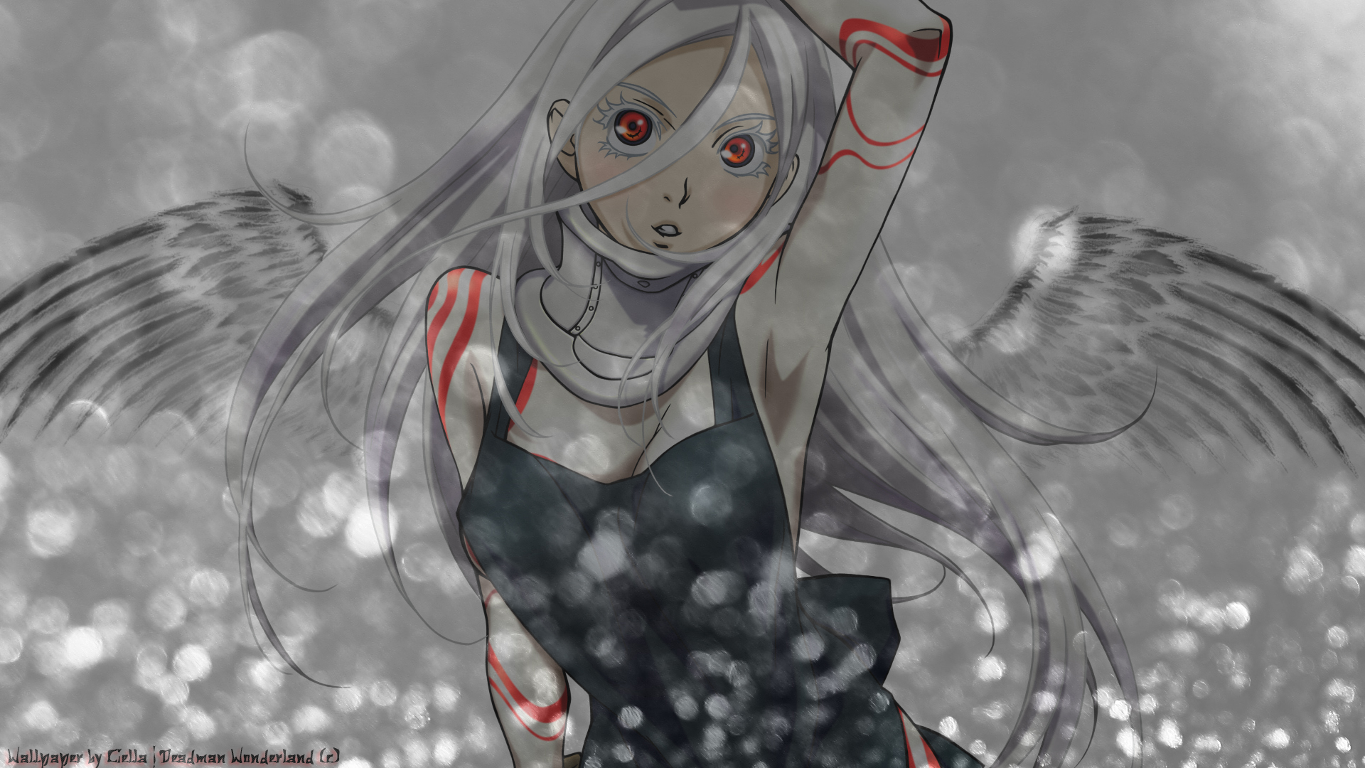 Deadman Wonderland Shiro Wallpaper Hd - HD Wallpaper 