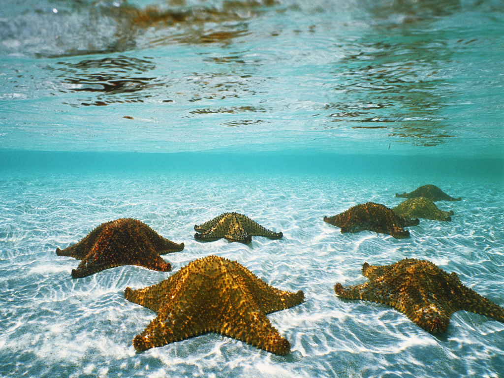 Stars In Water Windows 7 Scenery Wallpaper - HD Wallpaper 
