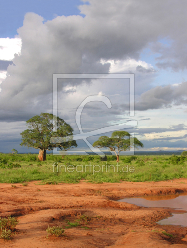 9995071 Nach Dem Regen Erstellt Von Ludmilaf - Tree - HD Wallpaper 