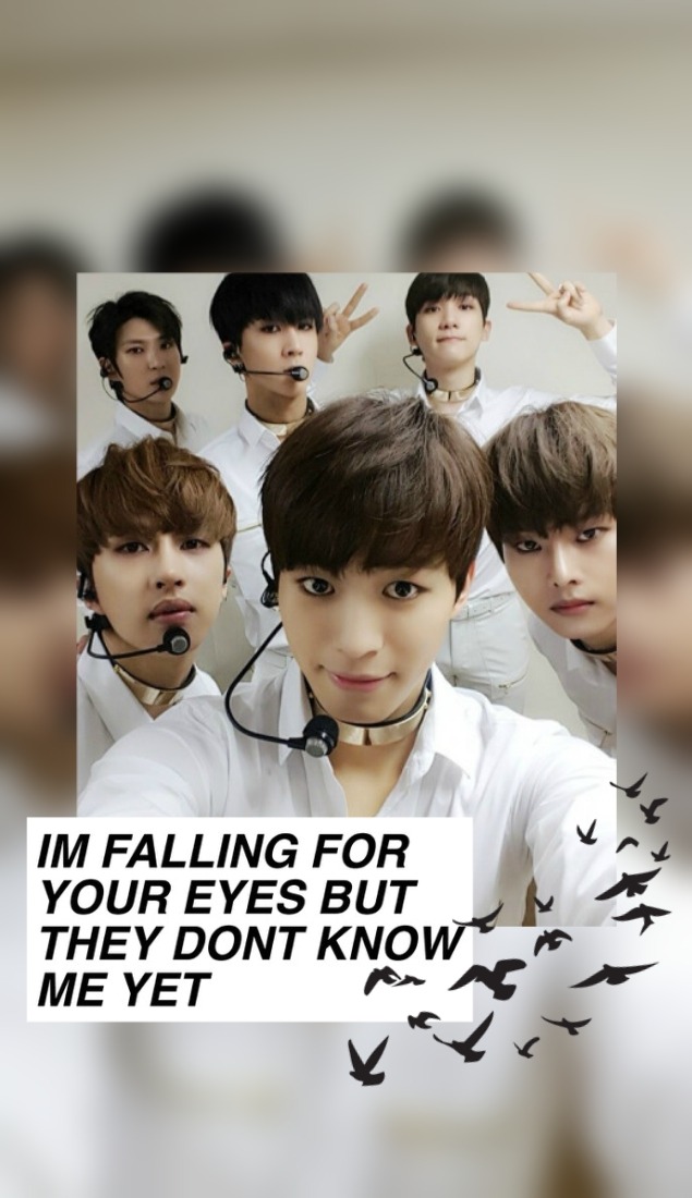 Ot6


like/reblog If You Save - Birds - HD Wallpaper 