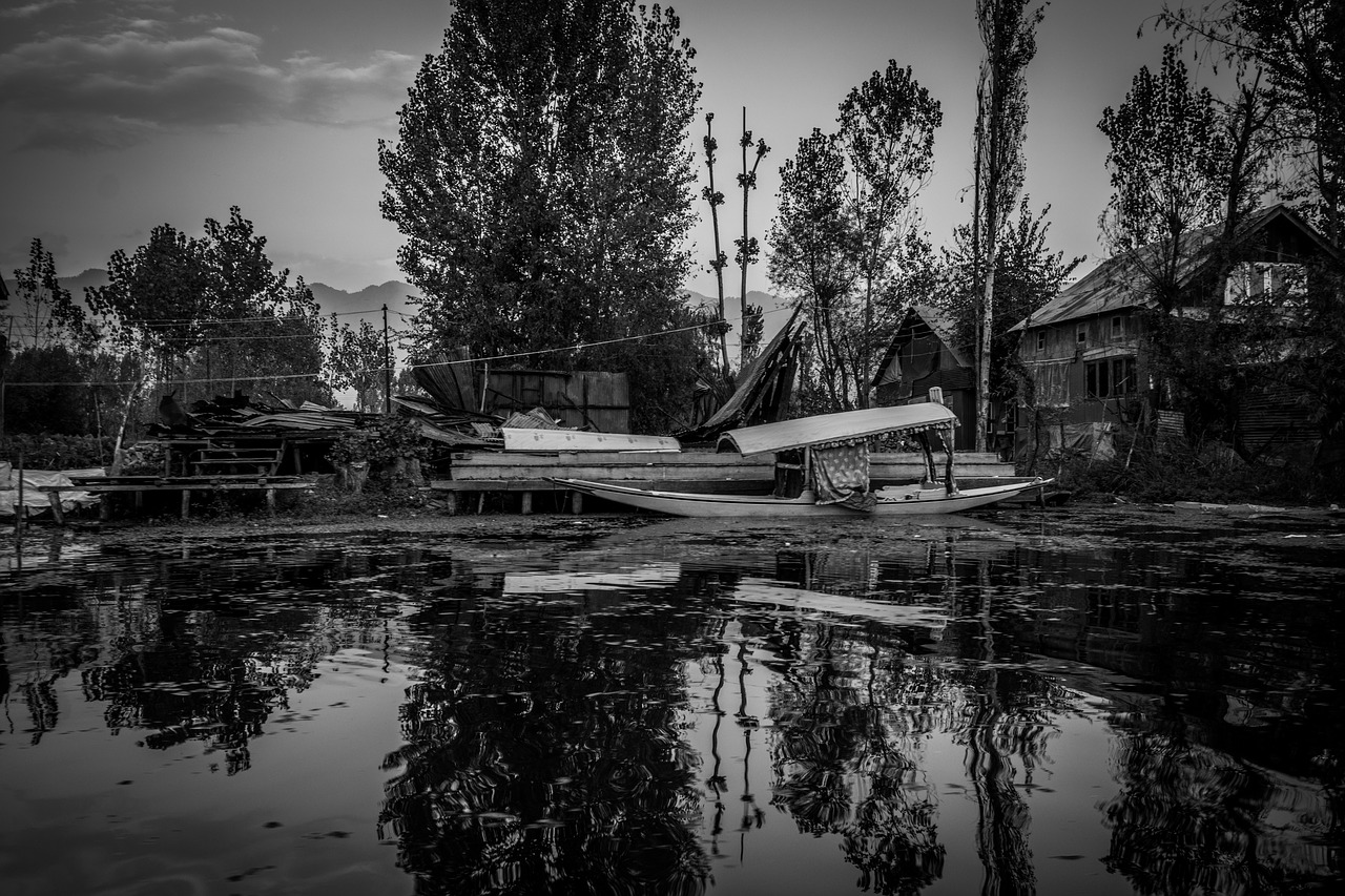 Scene,water,dal Lake,wallpaper,black And Boats,trees,floating - Dal Lake - HD Wallpaper 