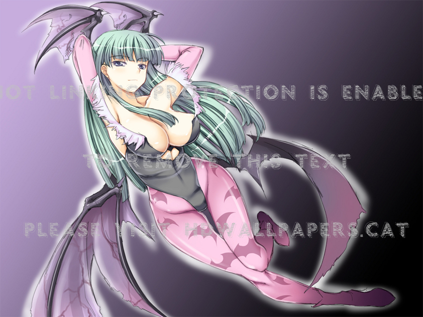 Morrigan Darkstalkers Capcom Videogame - Morrigan - HD Wallpaper 