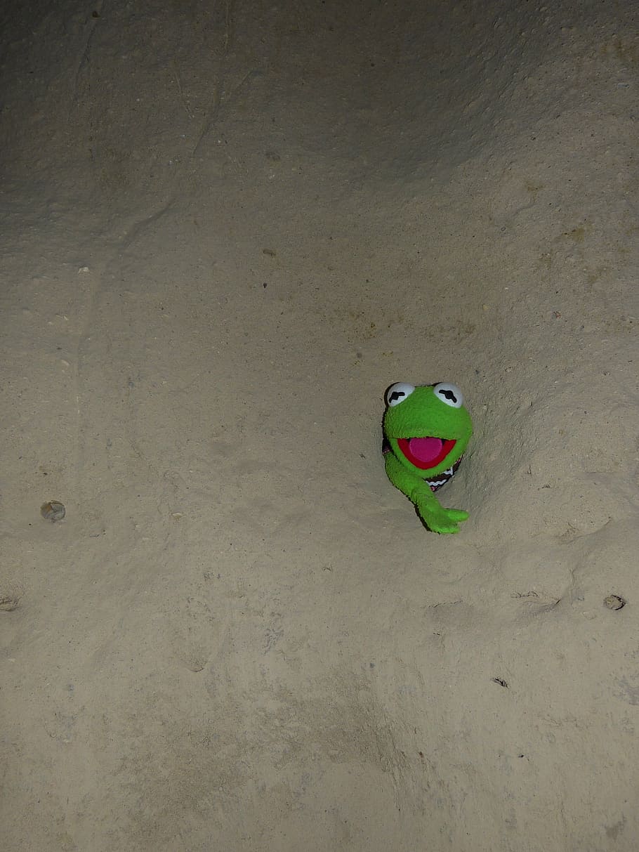 Kermit, Frog, Green, Wall, Hole, Caught, Stone, Cold, - Kermit In A Hole - HD Wallpaper 