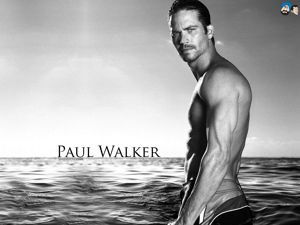 Paul Walker - Paul Walker Photo Shoot - HD Wallpaper 