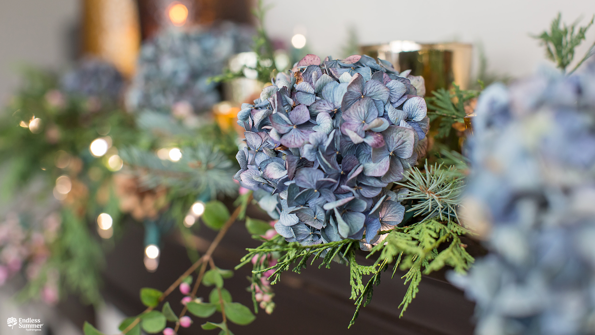 Hydrangea - HD Wallpaper 