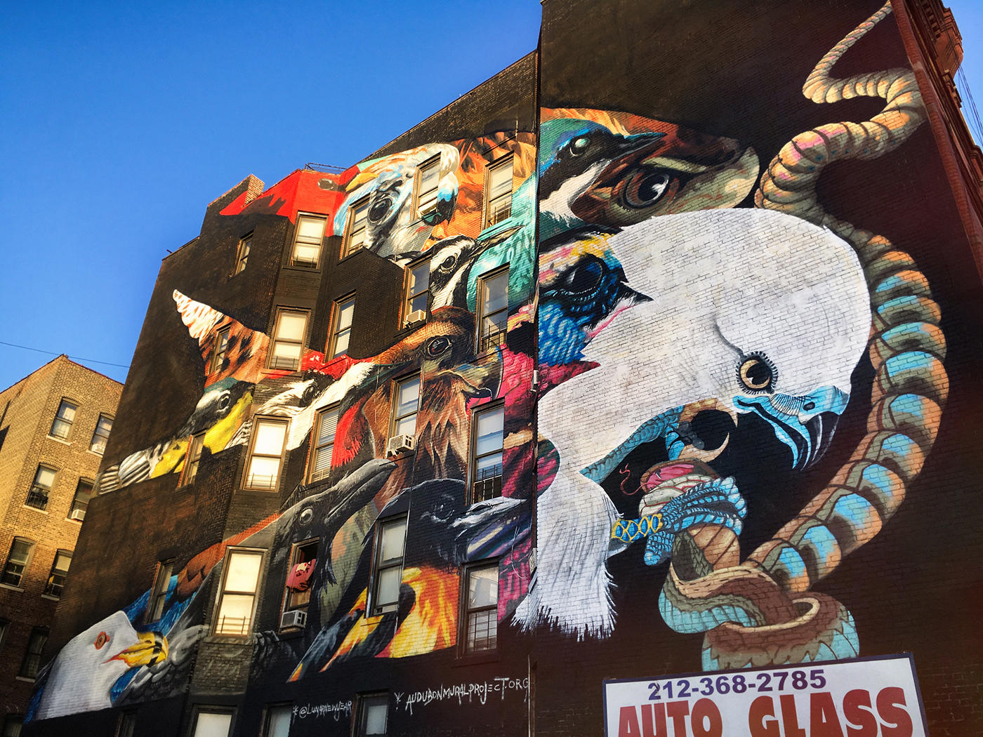 Audubon Mural Project - HD Wallpaper 