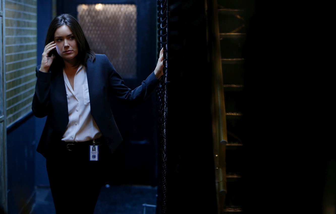 Photo Wallpaper Actress, Ladder, The Series, Agent, - Elizabeth Keen Dress - HD Wallpaper 