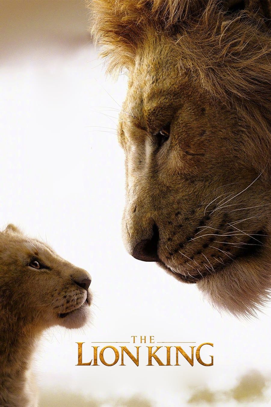 Movie Lion King - HD Wallpaper 