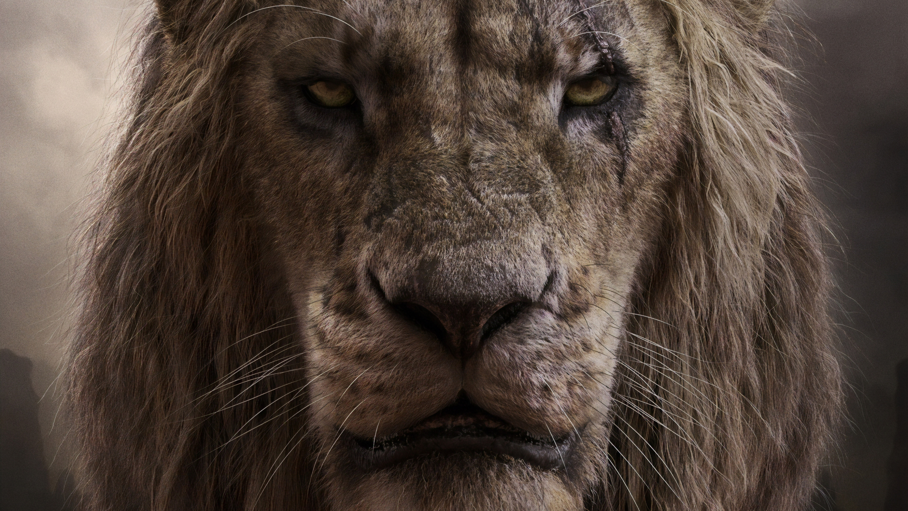 The Lion King, 2019, Scar, 4k, - Scar Lion King 2019 - HD Wallpaper 