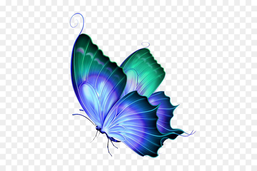 Butterfly Clipart Transparent Background - HD Wallpaper 