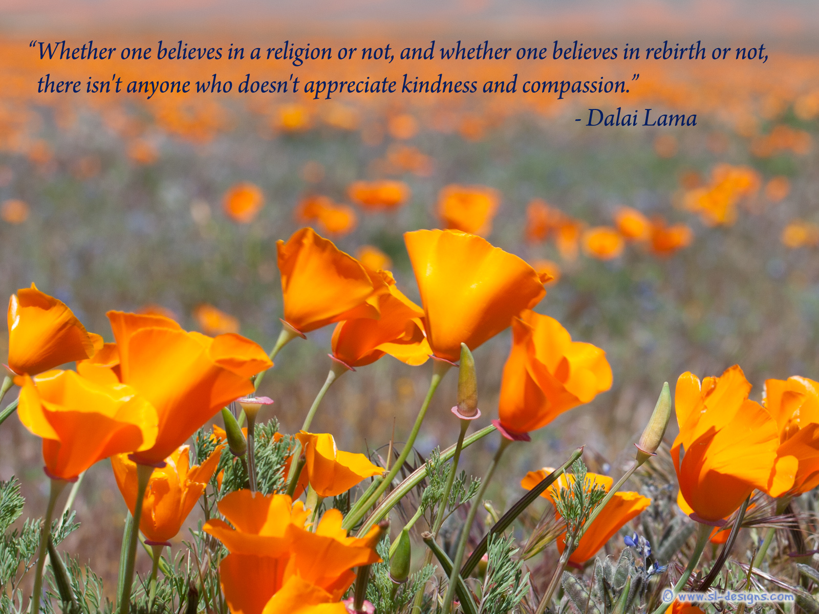Life Quote On Wallpaper - Dalai Lama Wallpaper Quotes - HD Wallpaper 