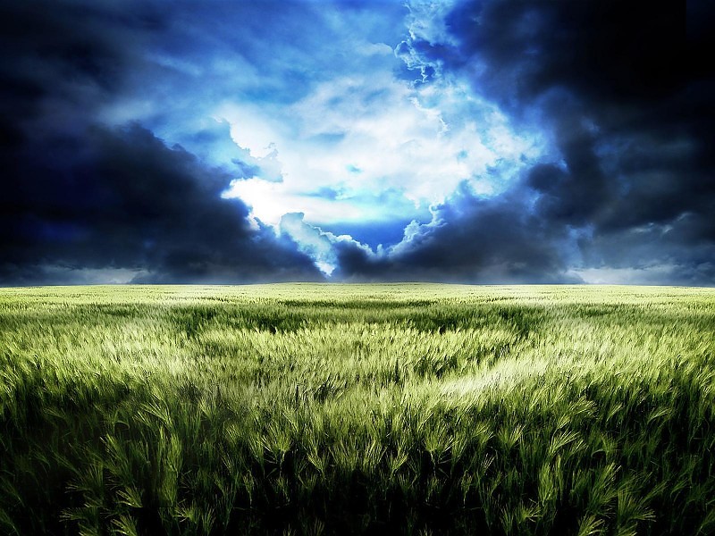Stormy Field Wallpaper Hd - Storm In A Field - HD Wallpaper 
