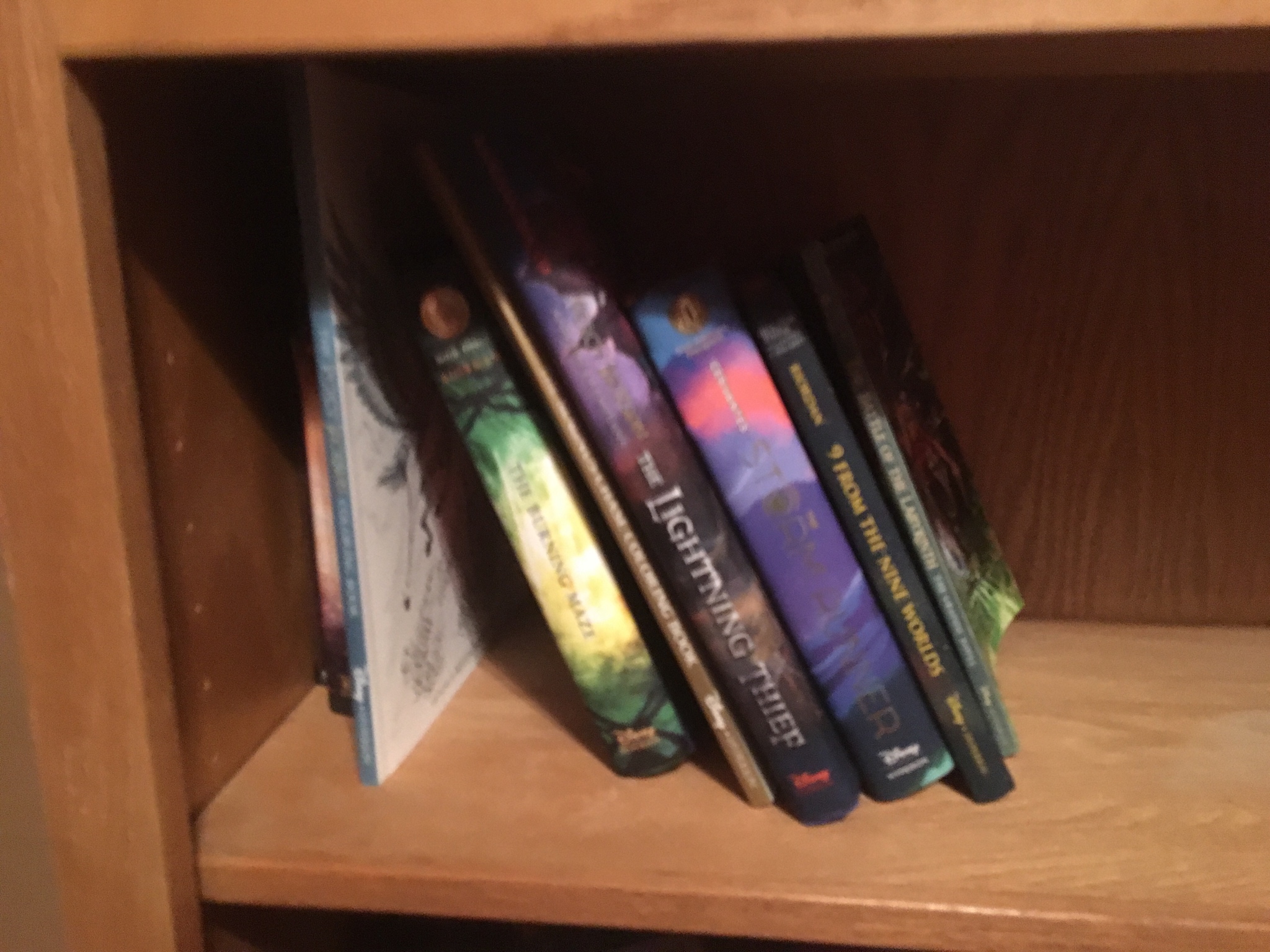 Shelf - HD Wallpaper 