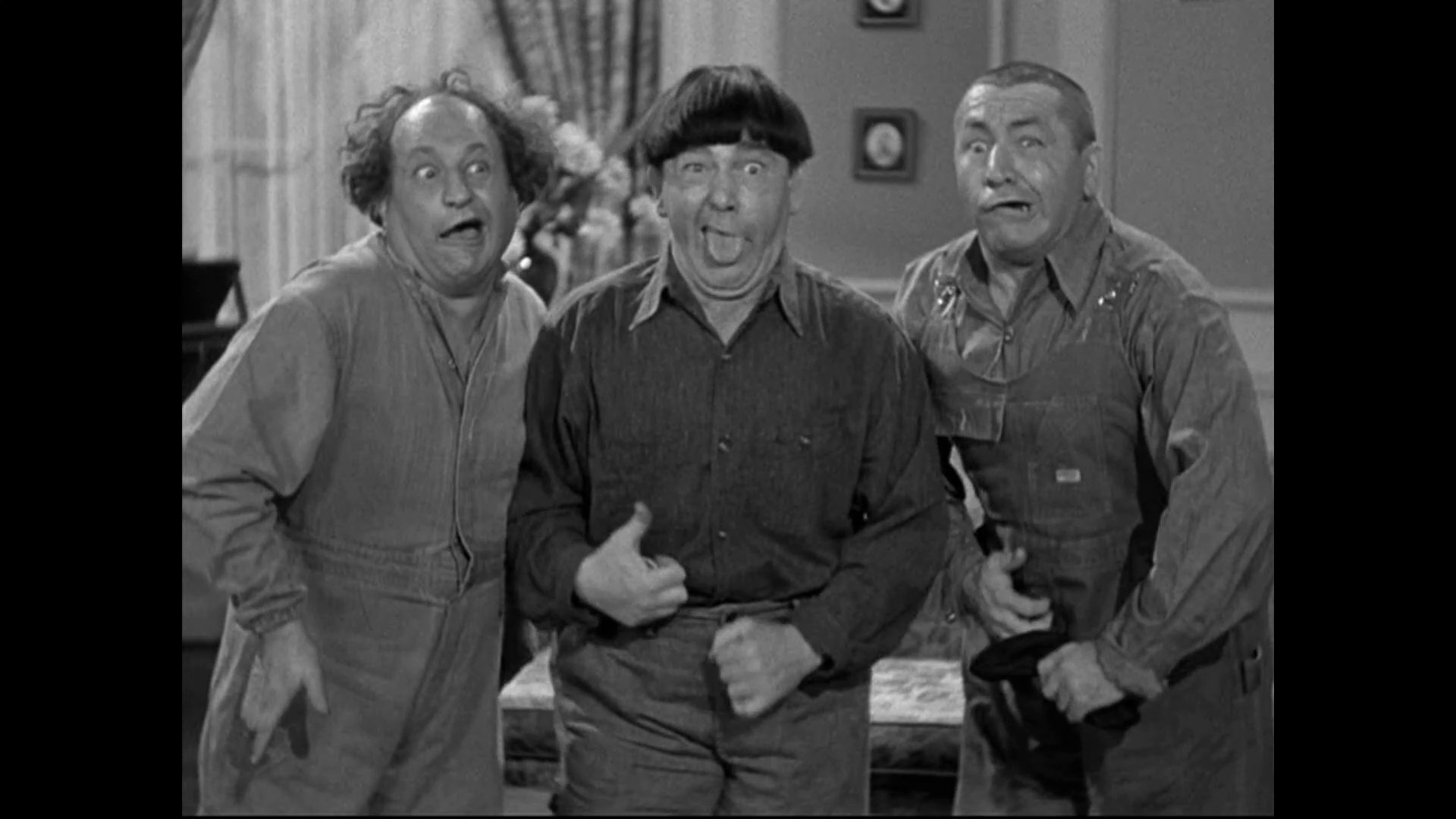 Half Wits Holiday Curly - HD Wallpaper 