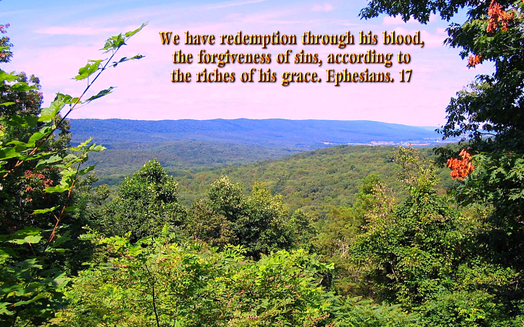 We Have Redemption Through His Blood, The Forgiveness - Natural Beauty Bible Verses About Nature - HD Wallpaper 