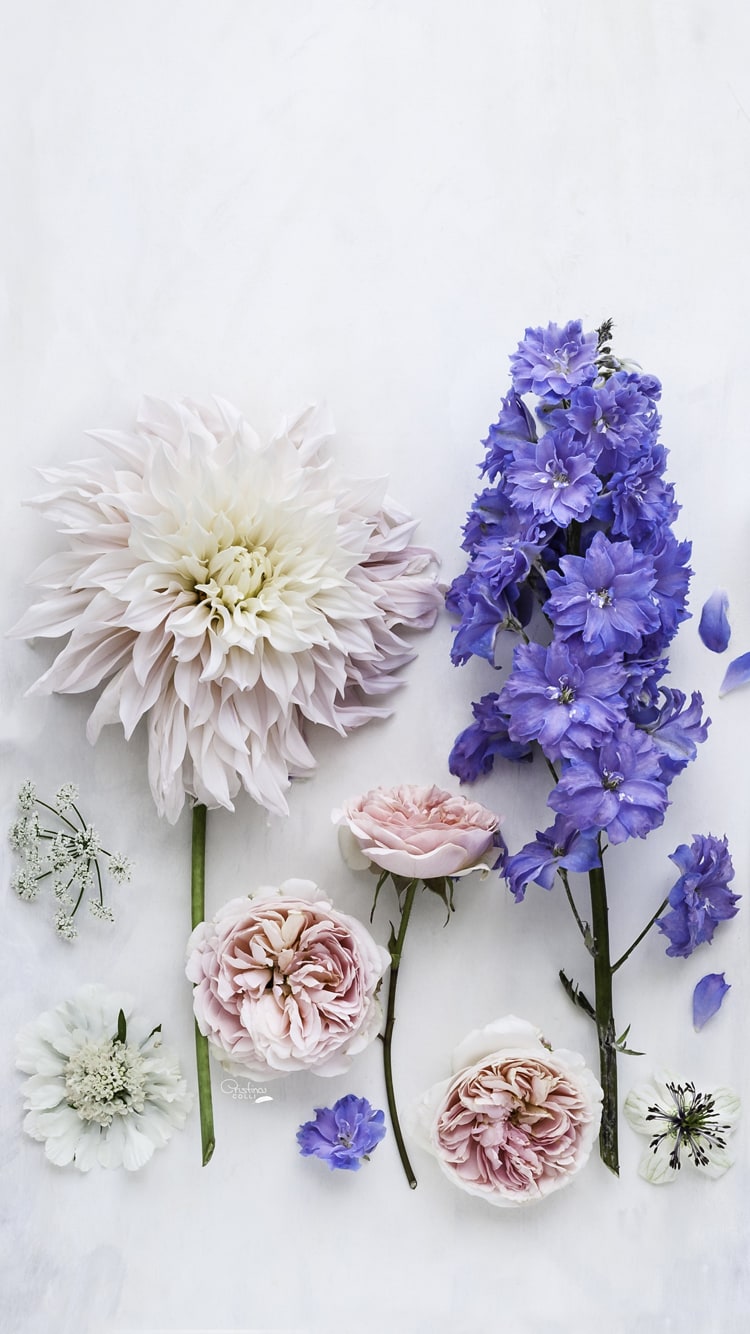 Phone Wallpaper Flowers - HD Wallpaper 