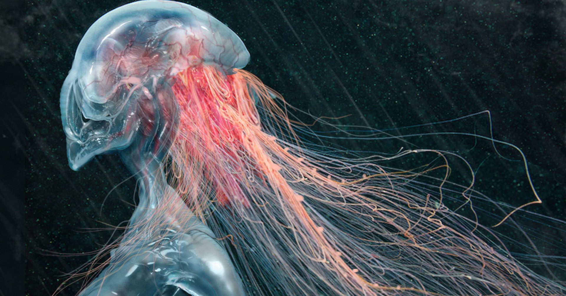 Jellyfish Art Wallpaper Hd - HD Wallpaper 