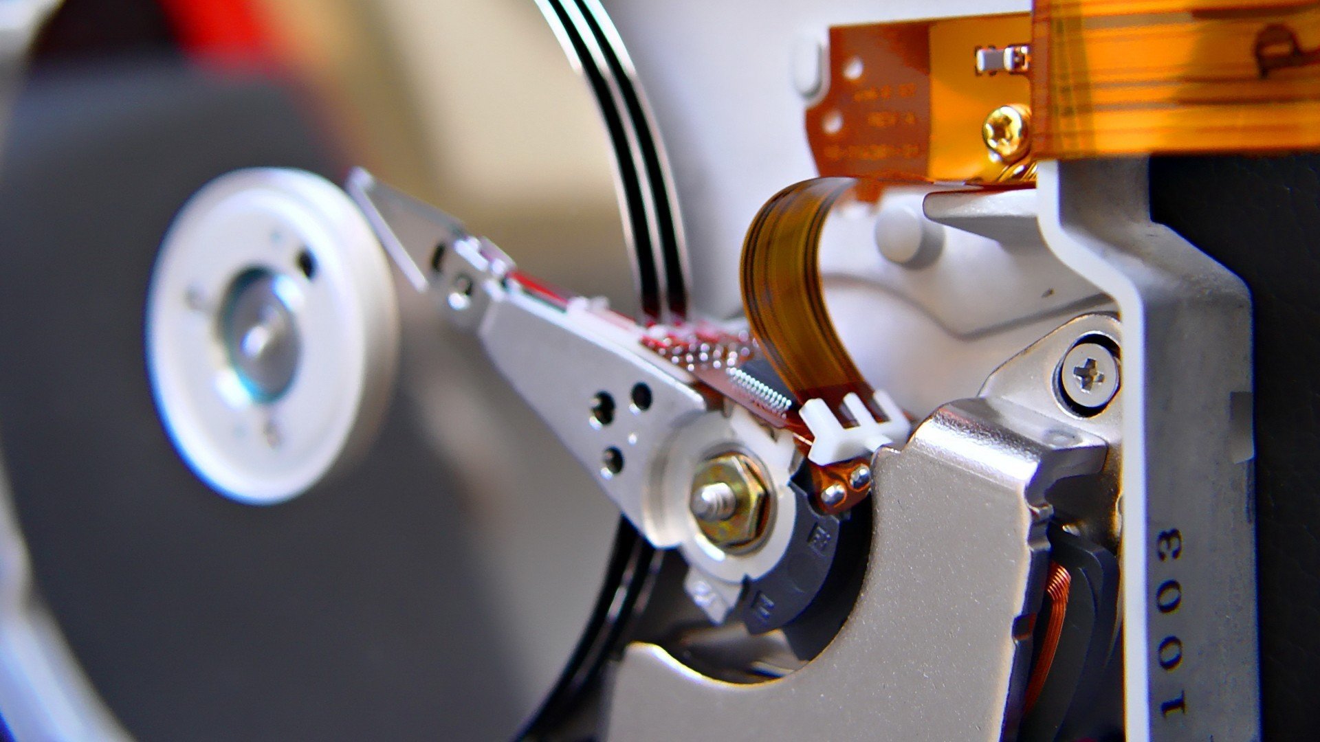 Shiny Umbreon Wallpaper - HD Wallpaper 