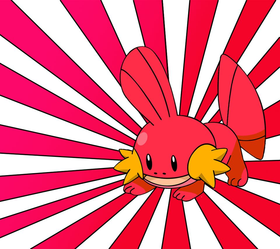 Cartoon - HD Wallpaper 