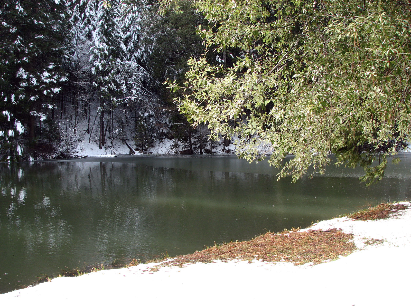 A Peaceful Day On Sullivan Creek Twain Harte, Ca - Reflection - HD Wallpaper 