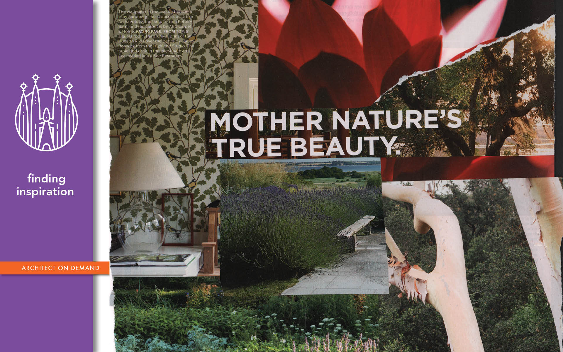 Nature Inspired Design, Architect On Demand, Advice - Tree - HD Wallpaper 