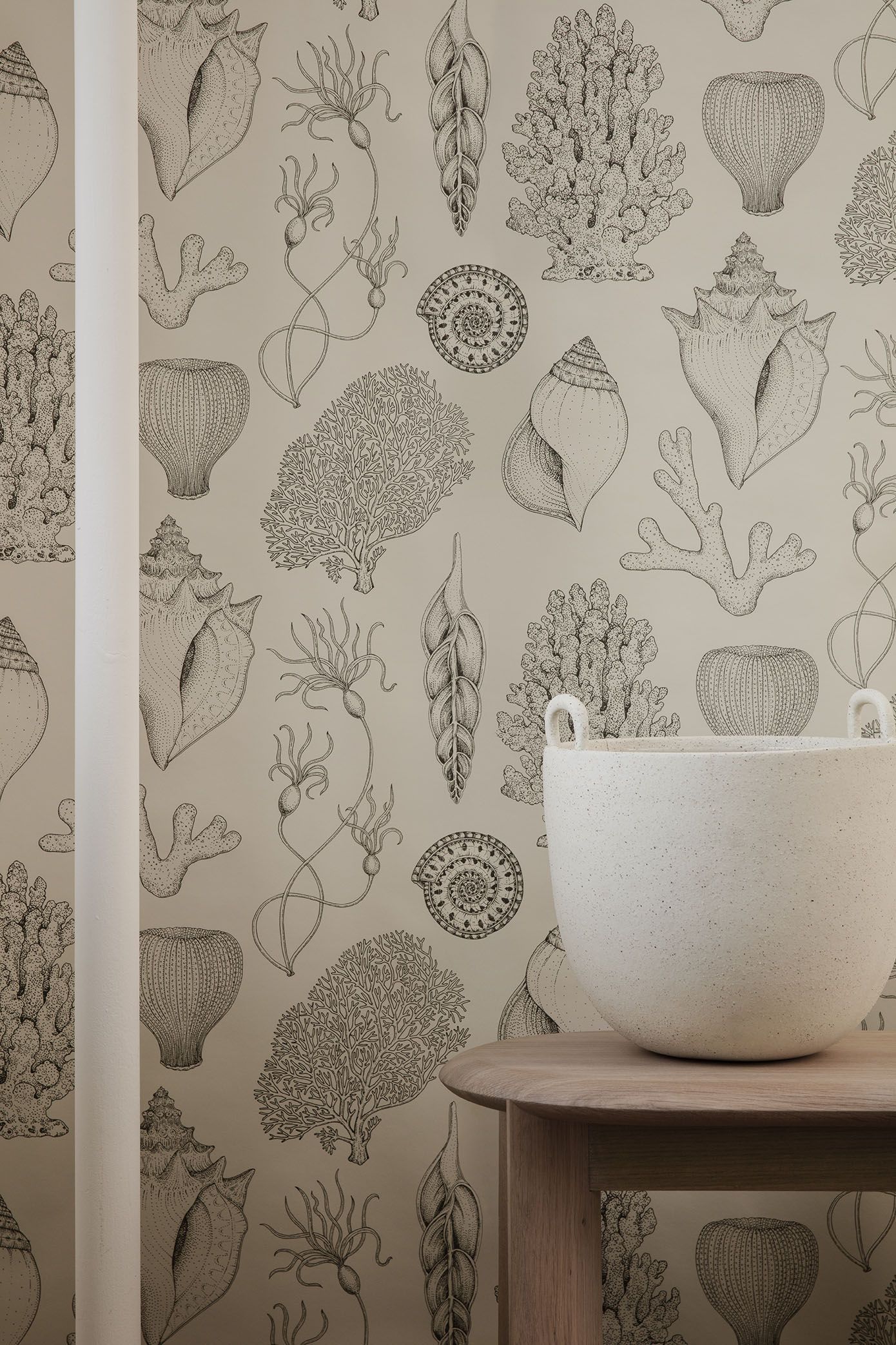 Wallpaper - HD Wallpaper 