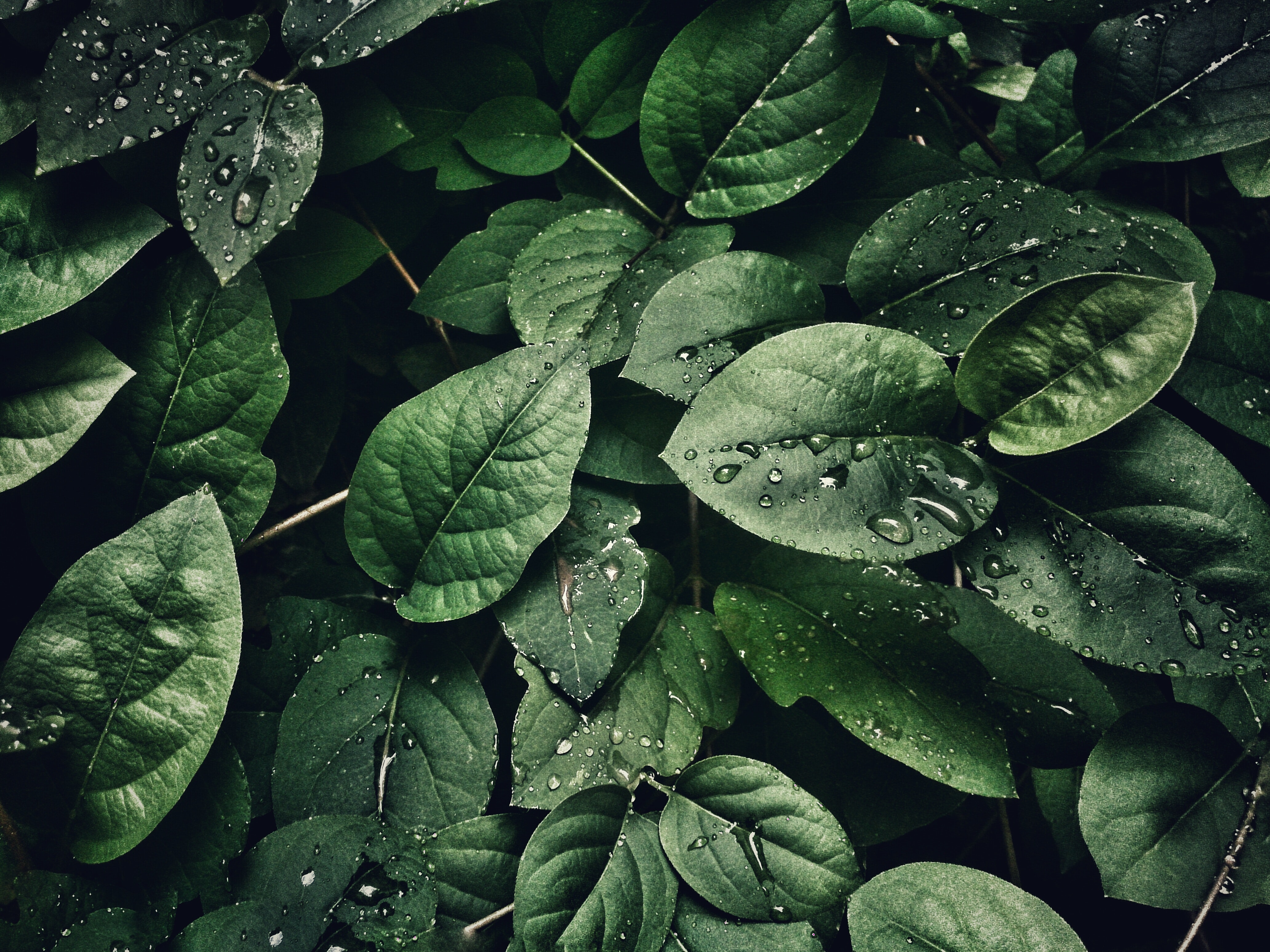Real Life Transpiration Water Cycle - HD Wallpaper 
