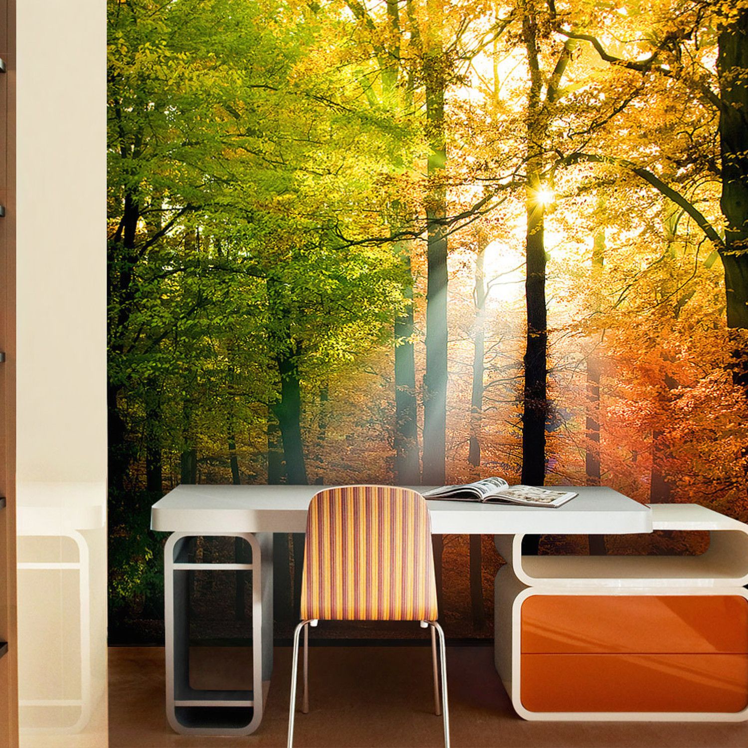 Light Through Canopy - HD Wallpaper 