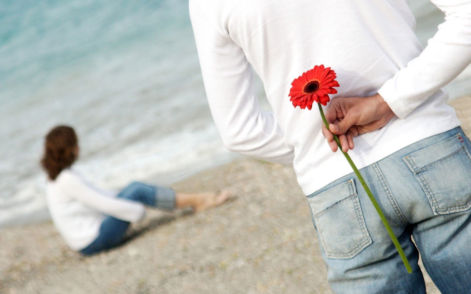 Boy Offering A Rose To Her Girl Friend - Propose Day Images Hd - HD Wallpaper 