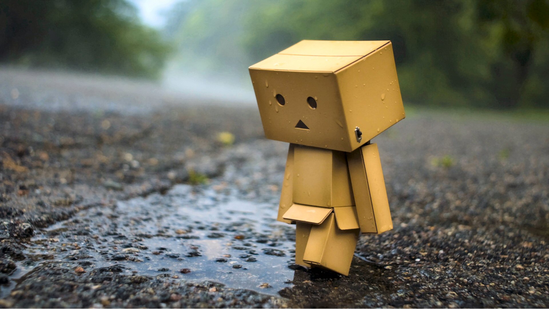 Danbo Wallpapers Hd - HD Wallpaper 