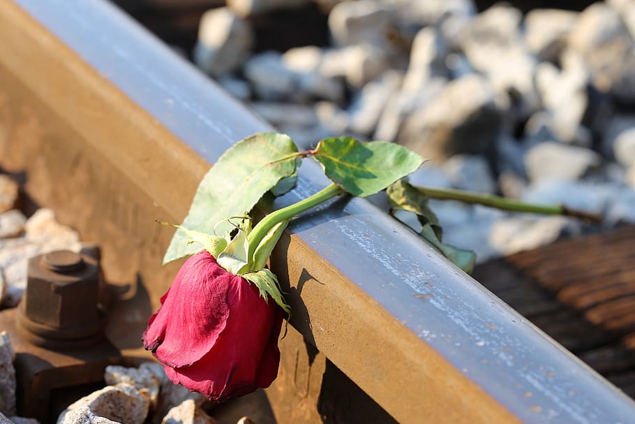 Sad Red Rose On Rail, Lost Love, Loving Memory, Tragedy, - Love Sad Red Roses - HD Wallpaper 