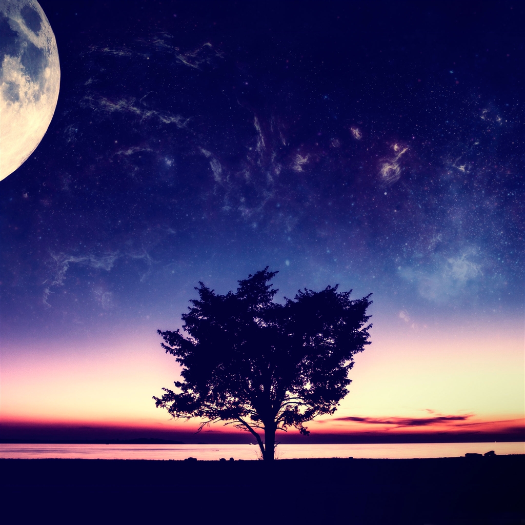 Wonderful Sunset Tree Ipad Air Wallpaper - Perfect Wallpaper For Desktop - HD Wallpaper 