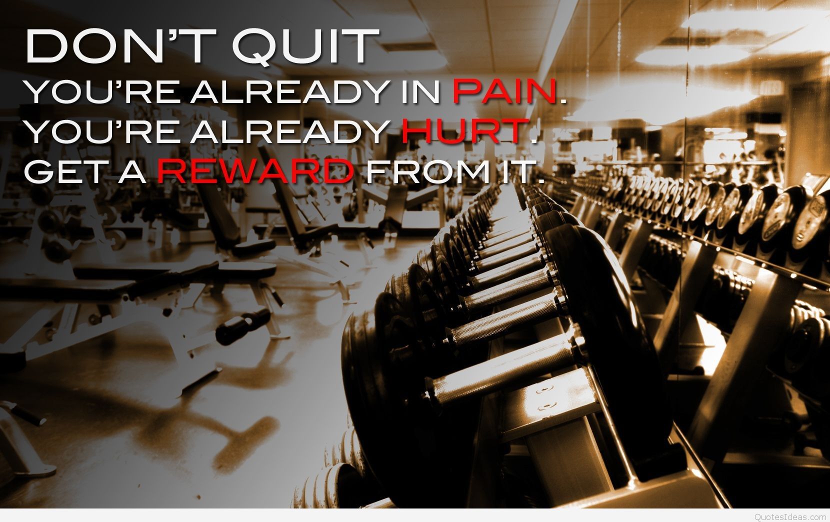 Don T Quit Wallpaper With Bodybuilding Quote - Dont Quit Youre Already In Pain Your - HD Wallpaper 