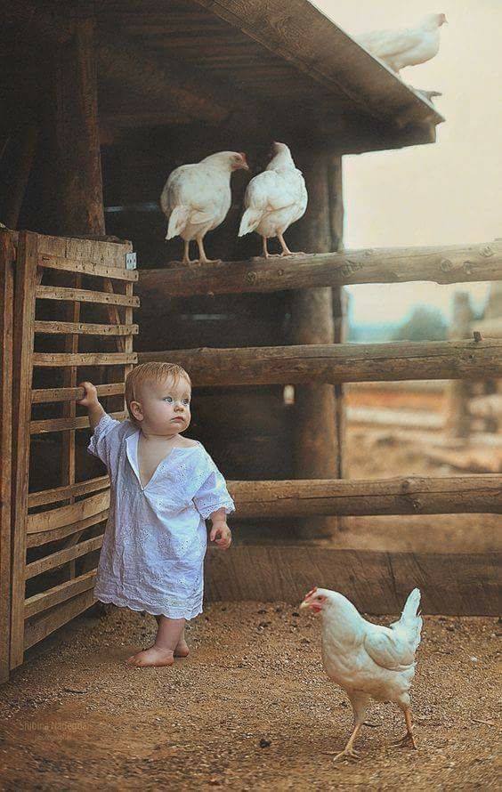 Shibina Nadegda Photography - HD Wallpaper 