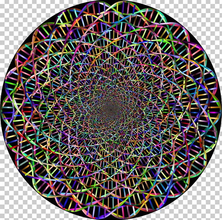 Nucleic Acid Double Helix Computer Icons Dna Png, Clipart, - Nucleic Acid Double Helix - HD Wallpaper 