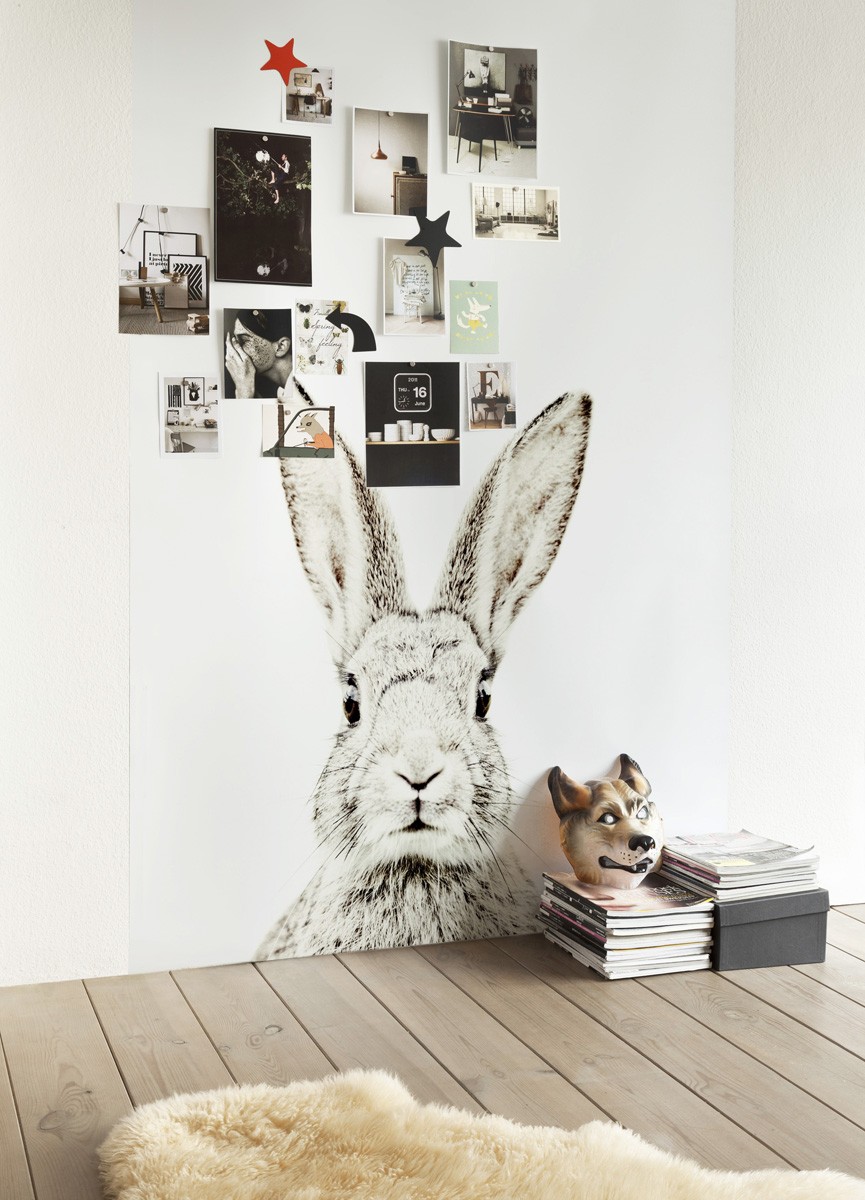 Magnetic Rabbit Room - Rabbit Wall Sticker - HD Wallpaper 