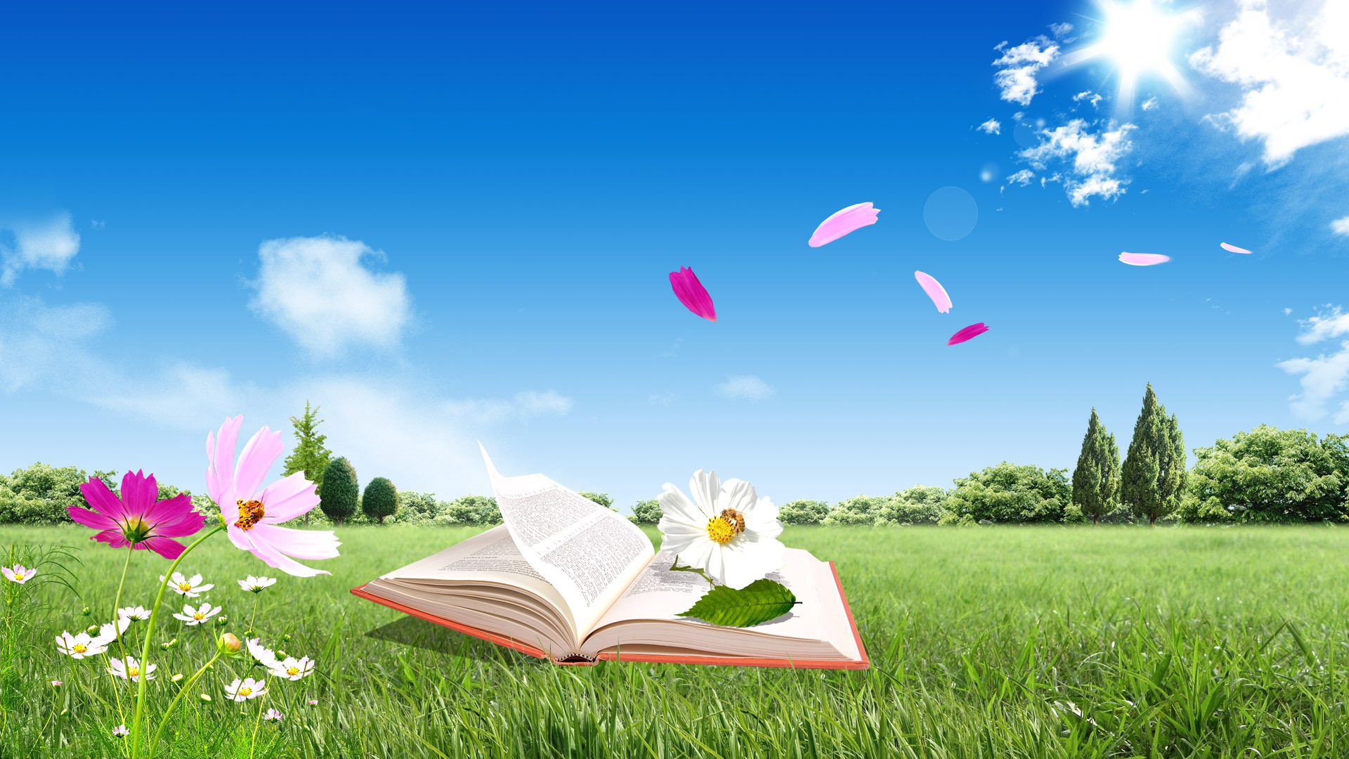 Wallpaper Book, Field, Flowers, Flying, Sky, Nature, - Full Hd Flower Nature - HD Wallpaper 