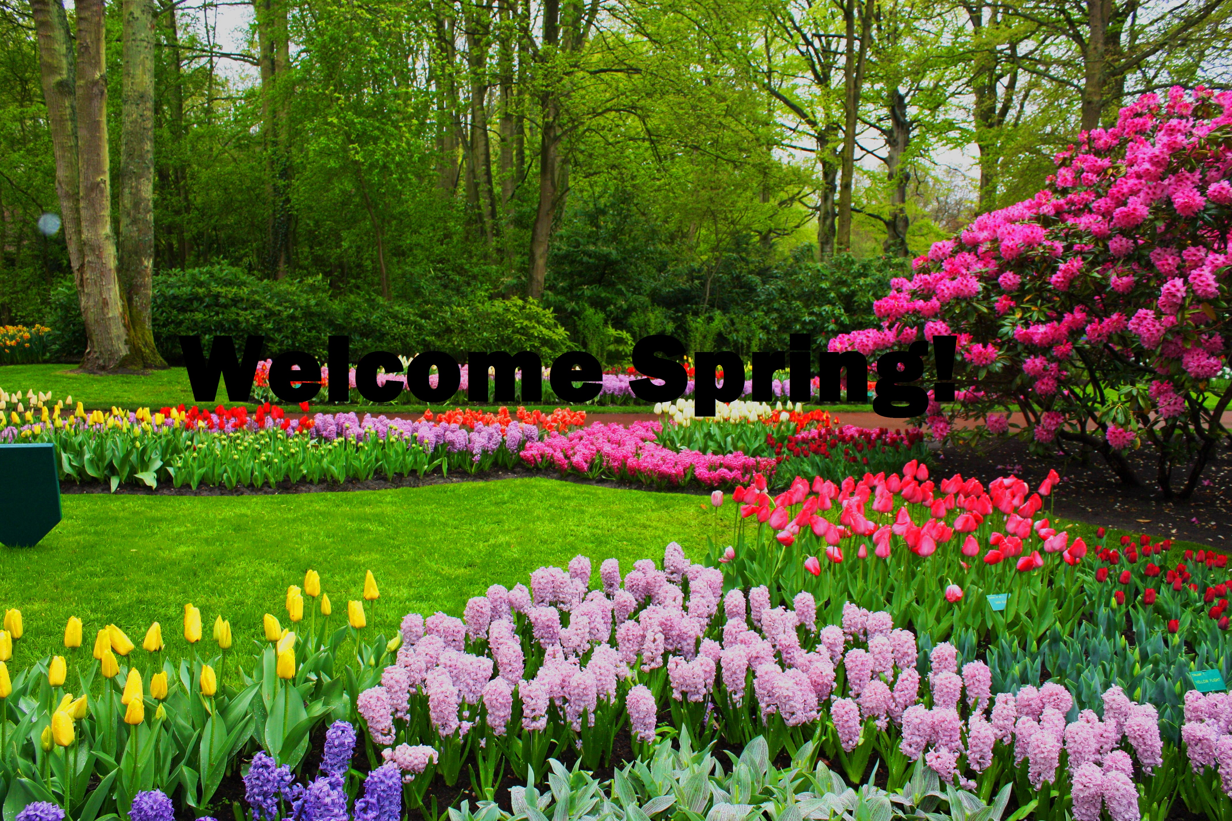 Park In Spring Desktop Background - Spring Hd - HD Wallpaper 