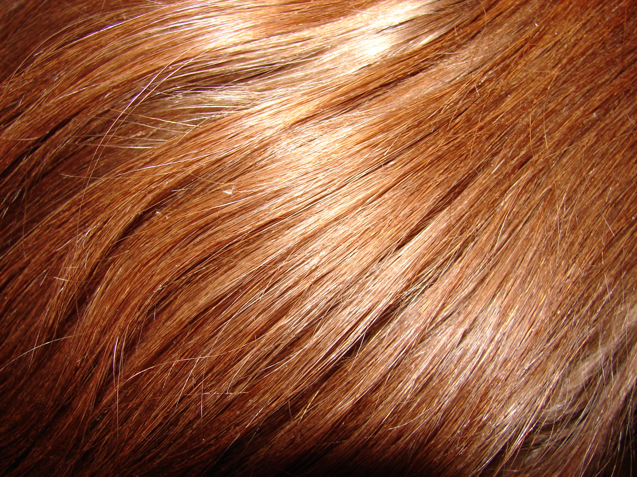 Reddish Blonde Hair Sample - 2048x1536 Wallpaper 