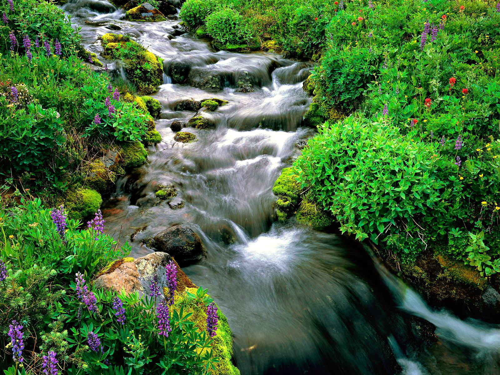 Natural Of Beauty - HD Wallpaper 