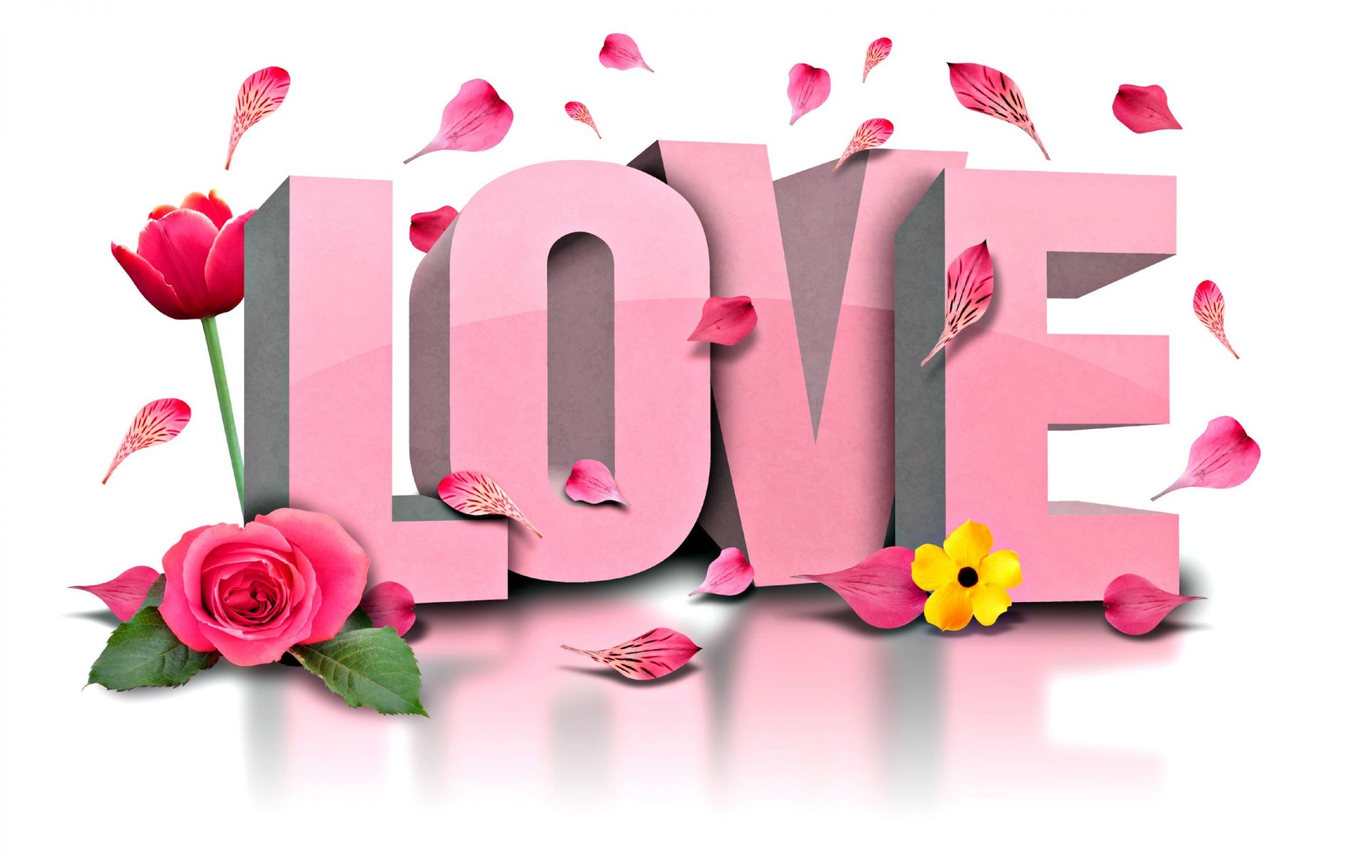 Love Most Beautiful Hd Wallpaper Hd Wallpapers Rocks - Love Floral Facebook Cover - HD Wallpaper 