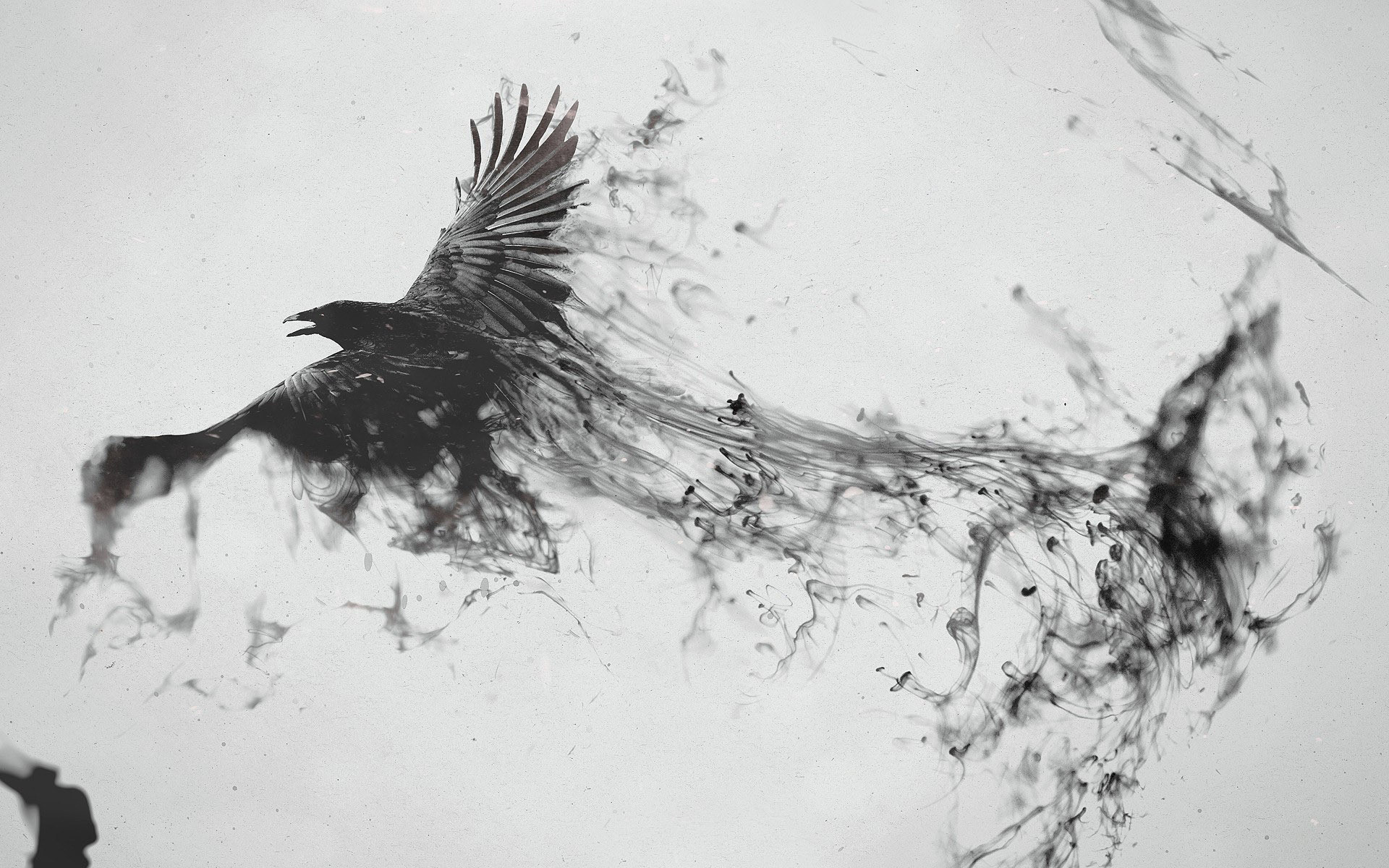 Crow Turning Into Smoke Wallpaper - Black Bird Smoke Png - HD Wallpaper 