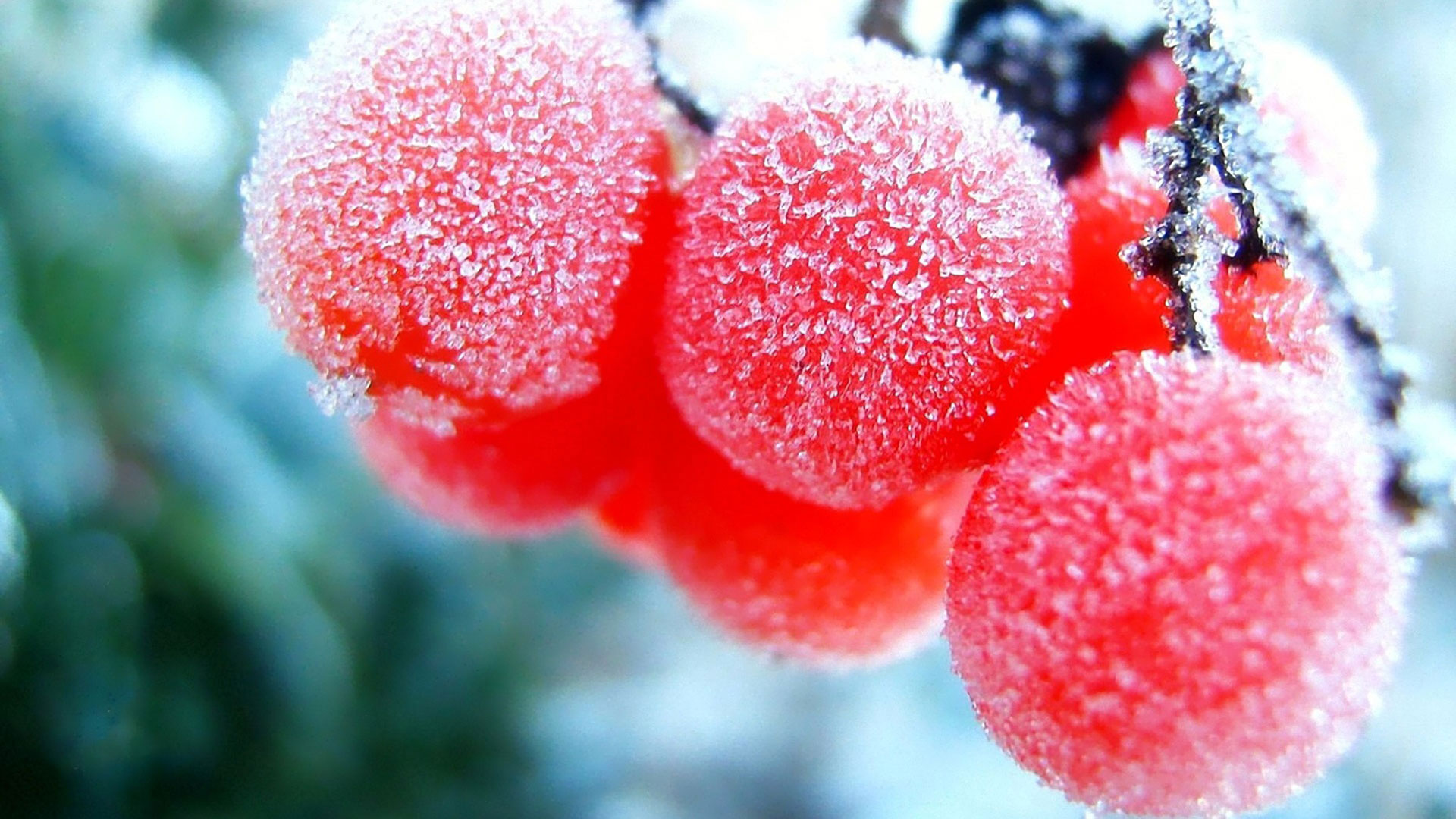 402466483 Attractive Wallpapers - Snow Fruits - HD Wallpaper 